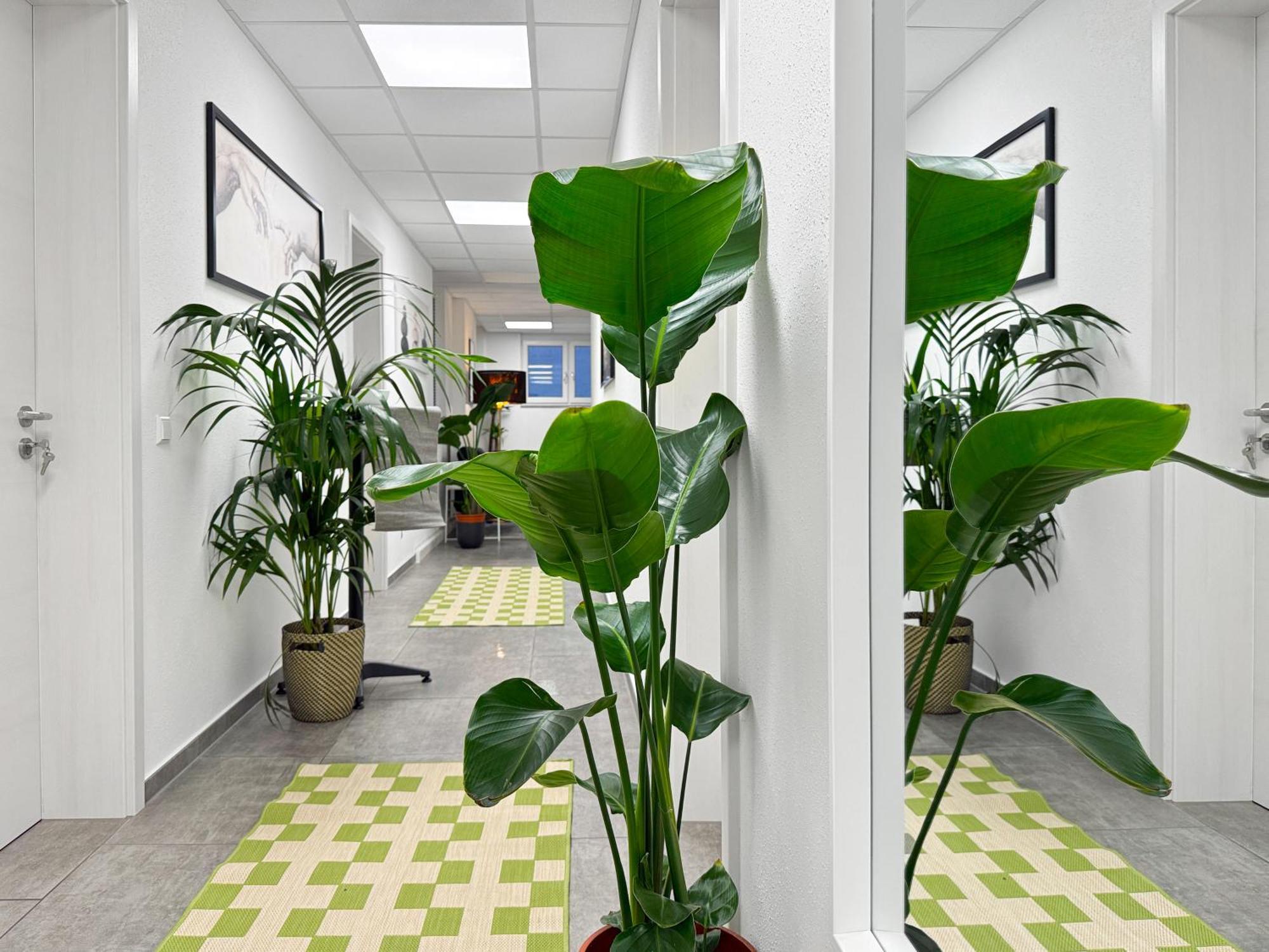 Group Friendly Comfort Central Stuttgart Apartment エクステリア 写真